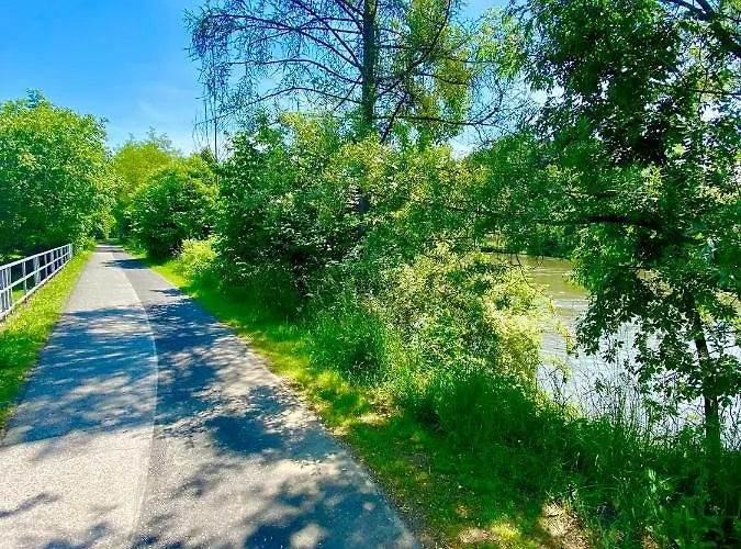 Rohrer Am Murradweg - An Der Weinstrasse 3* إيهرينهاوزين